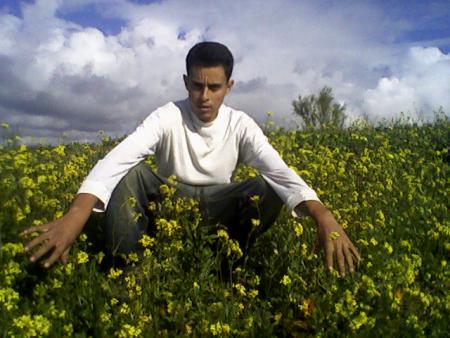 fouad