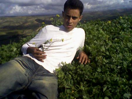 fouad