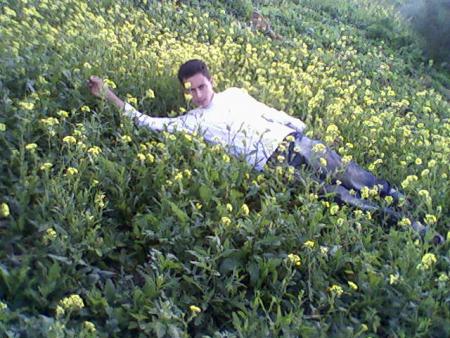 fouad