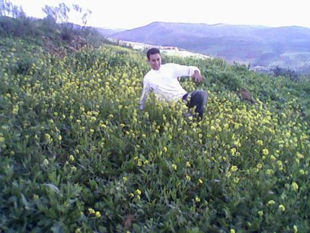 fouad