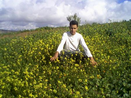 fouad