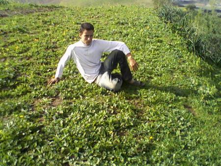 fouad