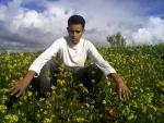 fouad tamacht