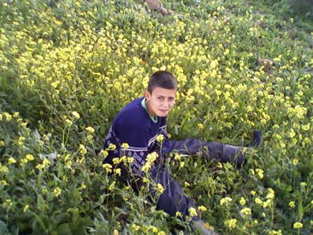 fouad