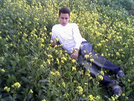 fouad